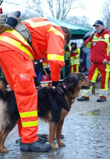 Hude-retten-leben Hude-retten-leben